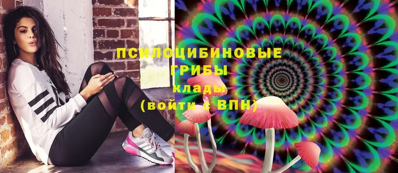 Галлюциногенные грибы Psilocybine cubensis  где найти наркотики  Нолинск 